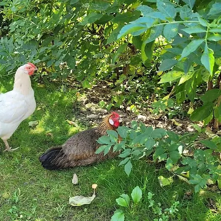 L'arche Apartment Muttersholtz