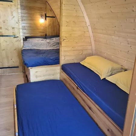 L'arche